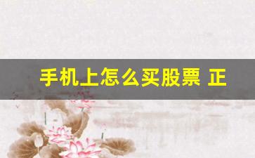 手机上怎么买股票 正规(如何从手机上买股票)_https://www.brunchezvous.com_自驾游_第1张